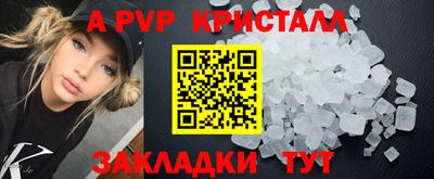 СК Будённовск