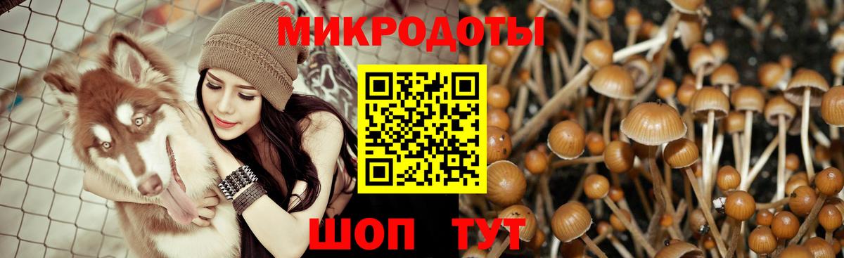 Псилоцибиновые грибы MAGIC MUSHROOMS Старая Купавна